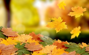 7004503-falling-leaves-autumn